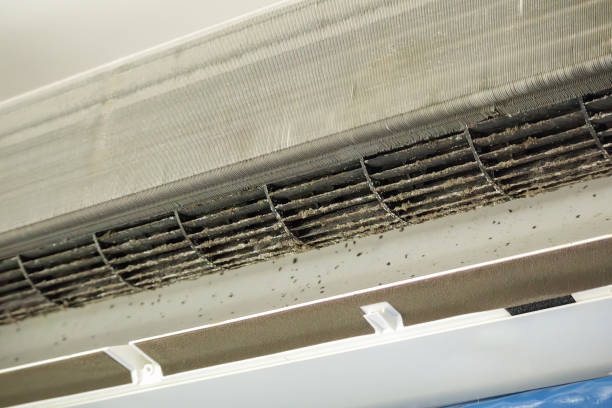 Best HVAC Air Duct Cleaning  in Chalco, NE